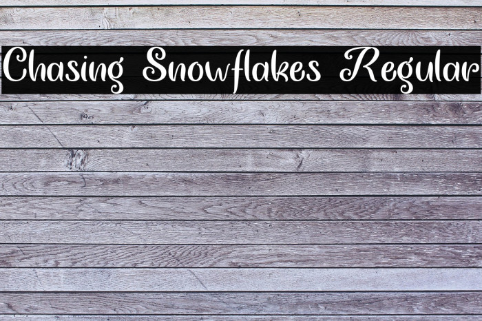 Chasing Snowflakes Regular Example 3
