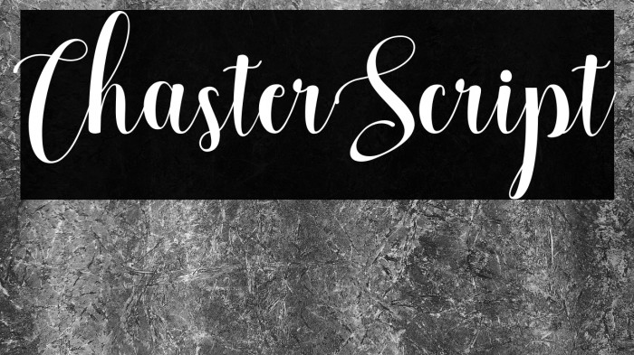 ChasterScript Example 2