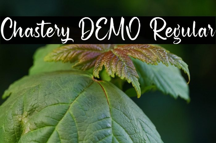 Chastery DEMO Regular Example 2