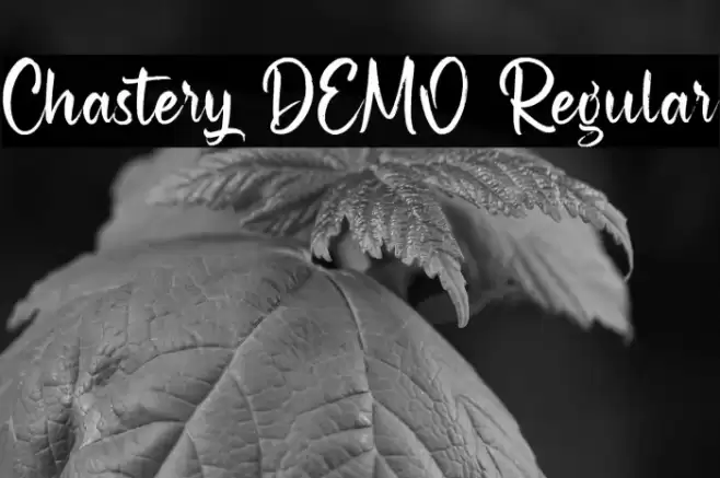 Chastery DEMO Regular Font examples