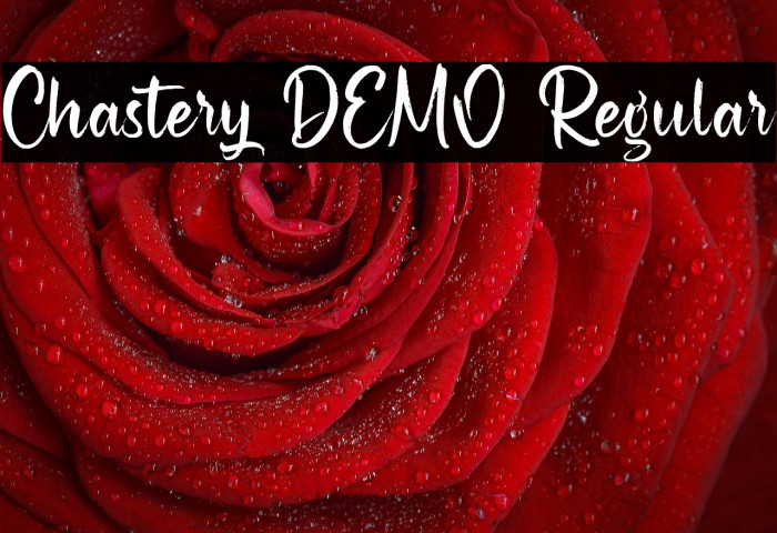 Chastery DEMO Regular Example 3