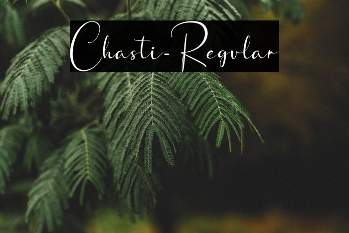 Chasti-Regular Example 2