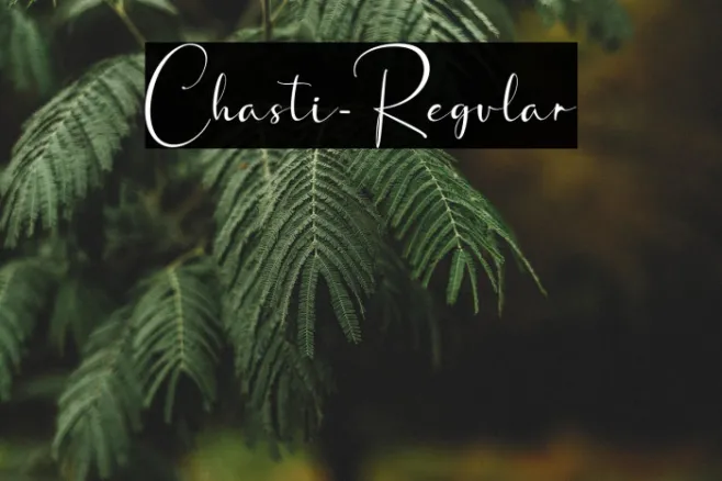 Chasti-Regular Example 2