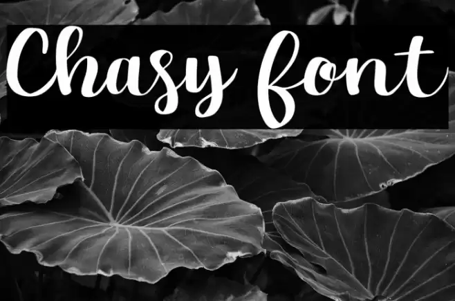 Chasy Font examples