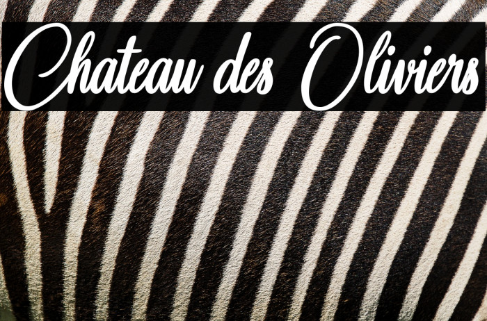 Chateau des Oliviers Example 1