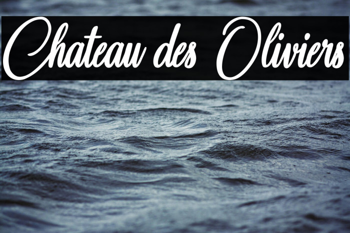 Chateau des Oliviers Example 2