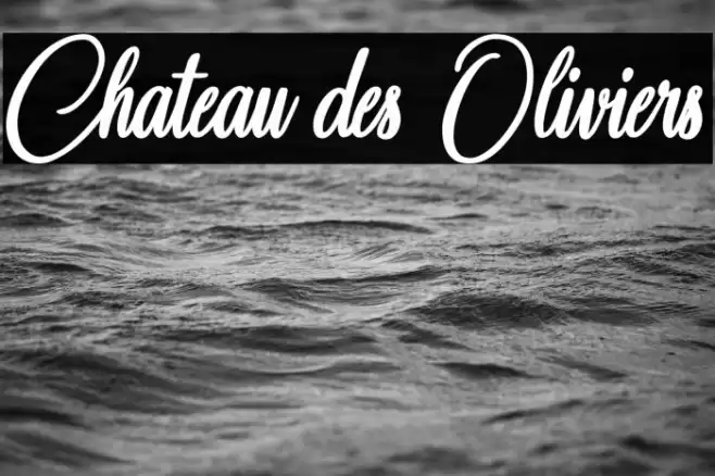 Chateau des Oliviers Font examples