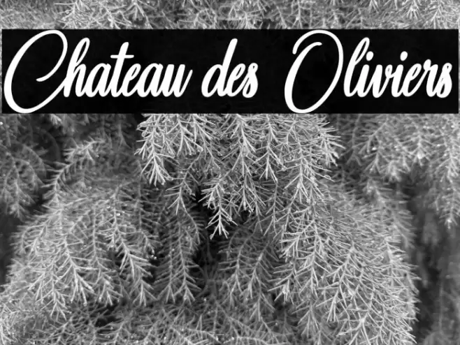 Chateau des Oliviers Font examples