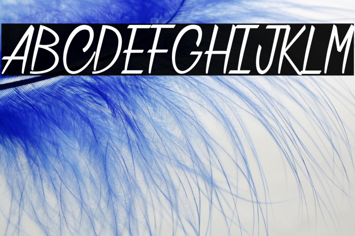 Chatelain des Radis_PersonalUseOnly Example 1