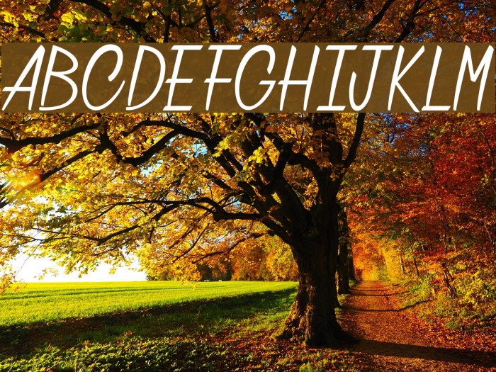 Chatelain des Radis Font examples