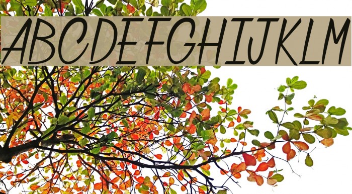 Chatelain des Radis Font examples