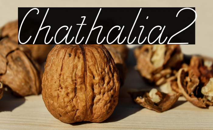 Chathalia2 Example 1