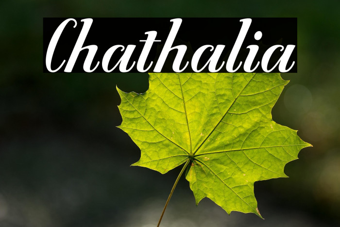 Chathalia Example 2