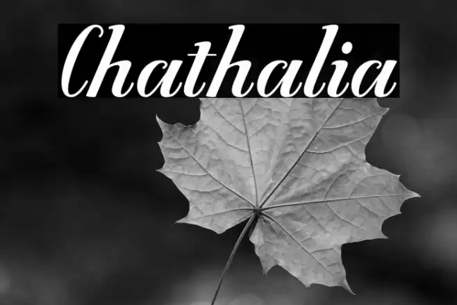Chathalia Font examples