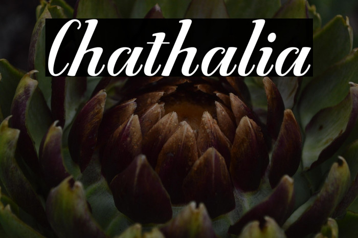 Chathalia Example 3