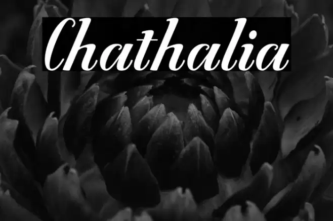Chathalia Font examples