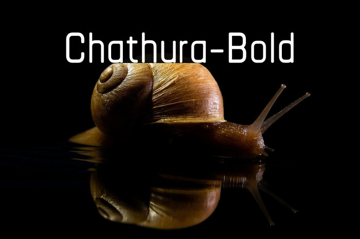 Chathura-Bold Example 2