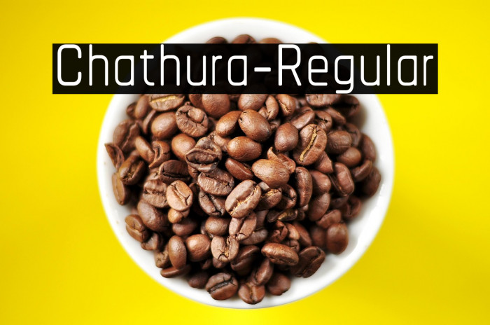 Chathura-Regular Example 3