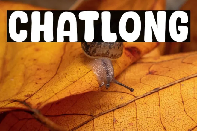 Chatlong Example 1