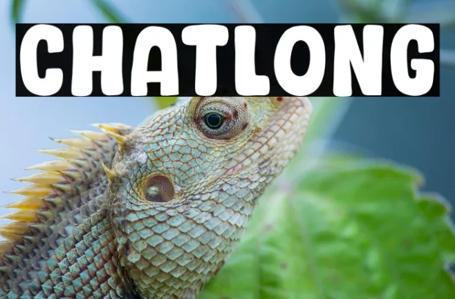 Chatlong Example 2