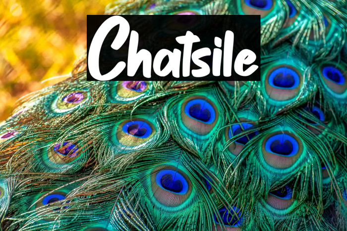 Chatsile Example 3