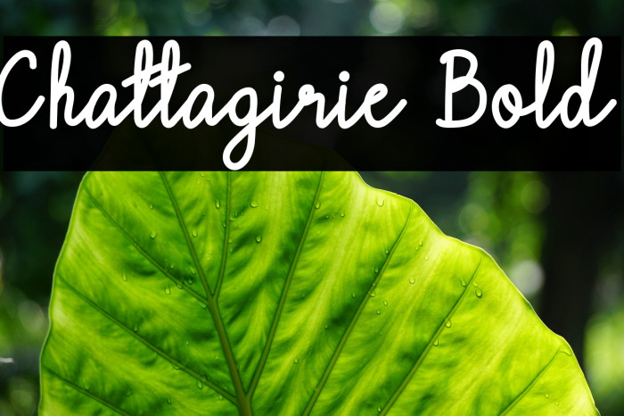Chattagirie Bold Example 1