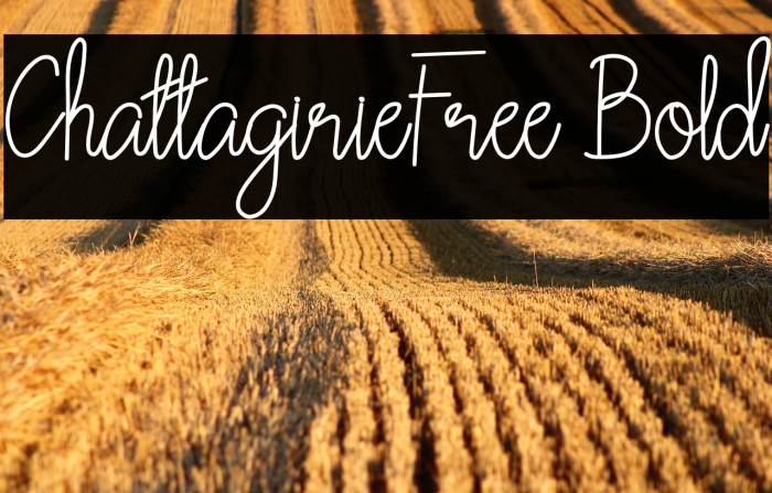 ChattagirieFree Bold Example 1