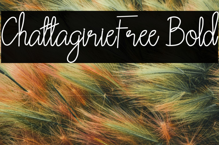 ChattagirieFree Bold Example 2