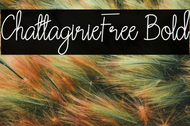 ChattagirieFree Bold Example 2