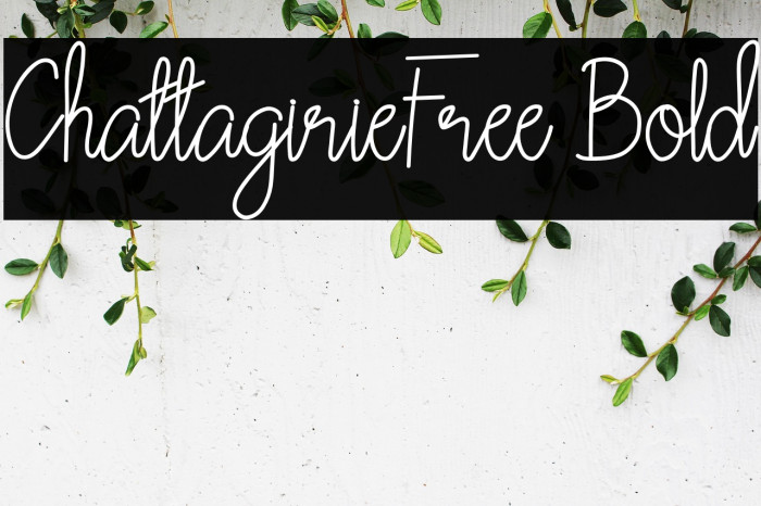 ChattagirieFree Bold Example 3
