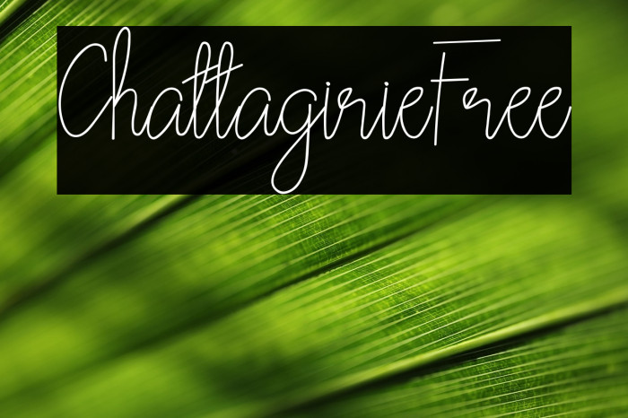 ChattagirieFree Example 1