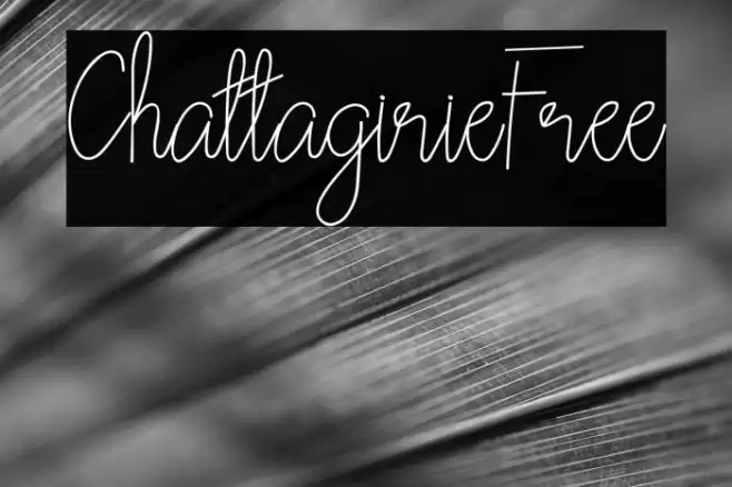 ChattagirieFree 字体 examples