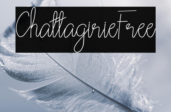 ChattagirieFree Example 2