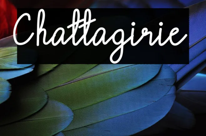 Chattagirie Example 1