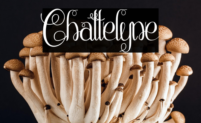 Chattelyne Example 2