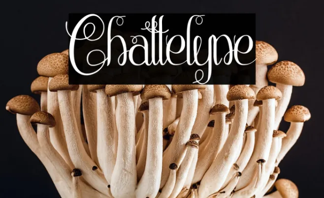 Chattelyne Example 2
