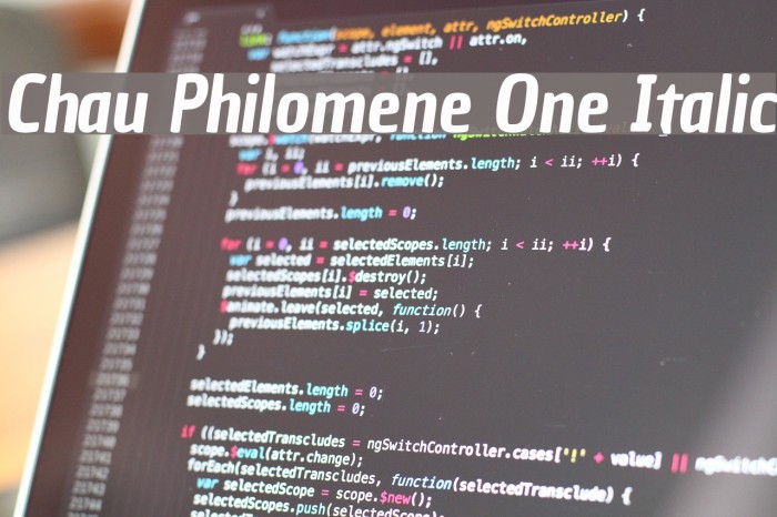 Chau Philomene One Italic Example 1