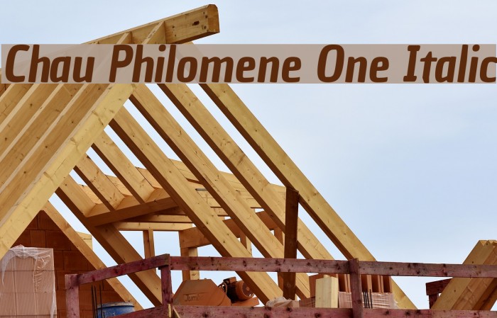 Chau Philomene One Italic Example 2