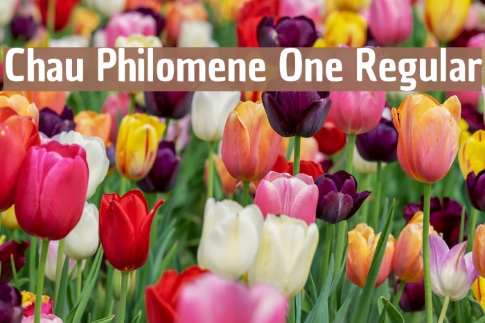 Chau Philomene One Regular Font examples