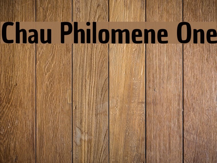 Chau Philomene One Example 3