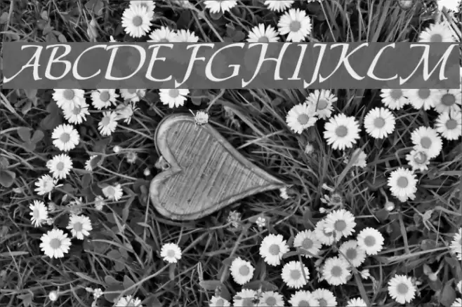 Chaucer Regular Font examples