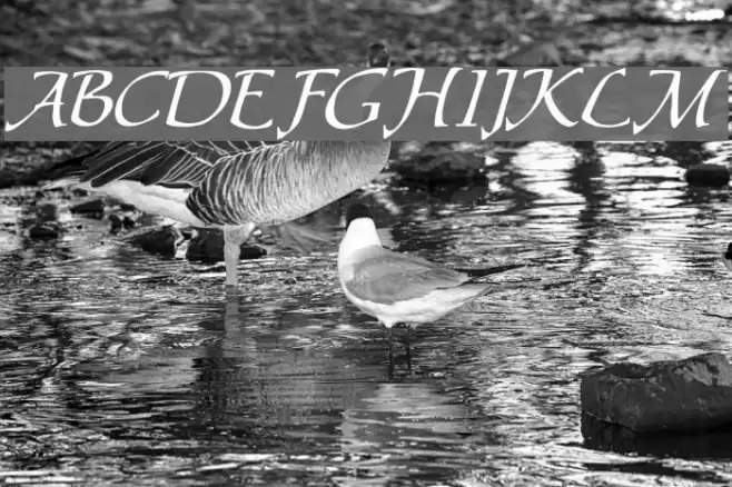 Chaucer Regular Font examples