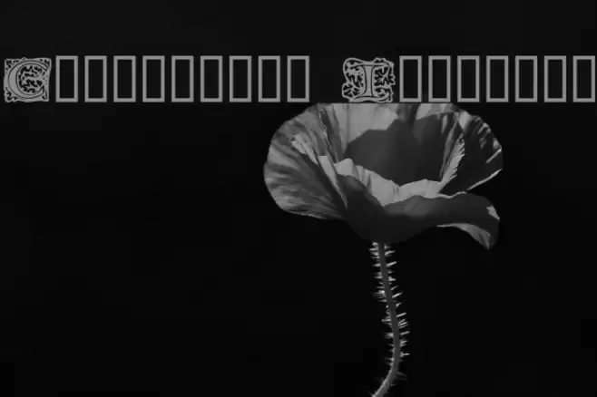 Chaucerian Initials Font examples