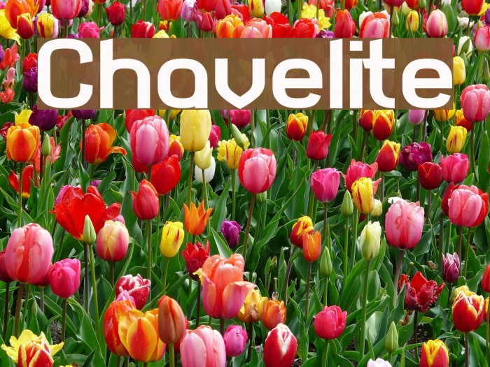 Chavelite Font examples