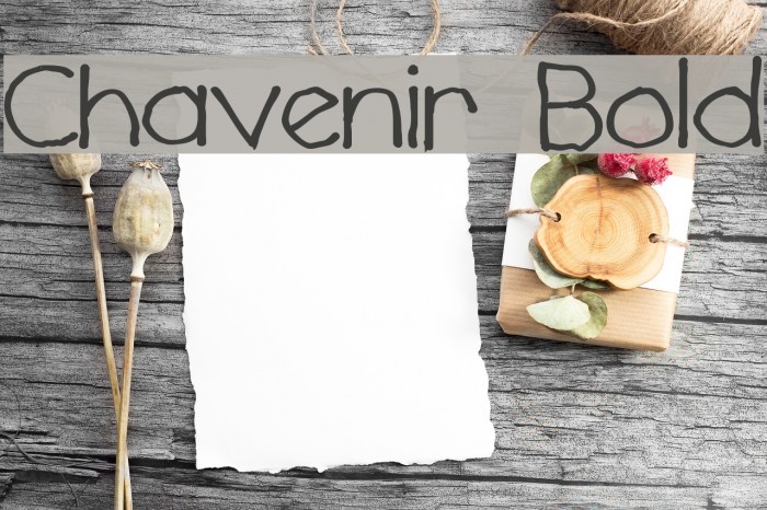Chavenir Bold Example 1