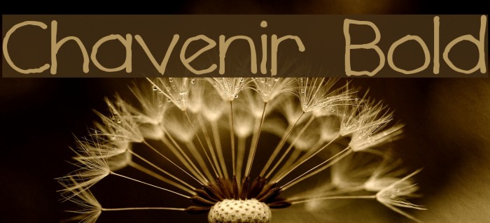 Chavenir Bold Example 2