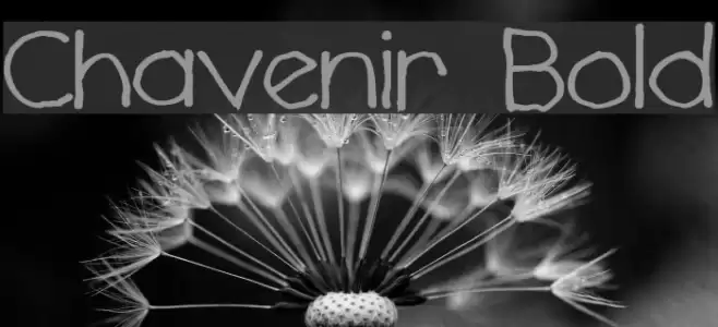 Chavenir Bold Font examples
