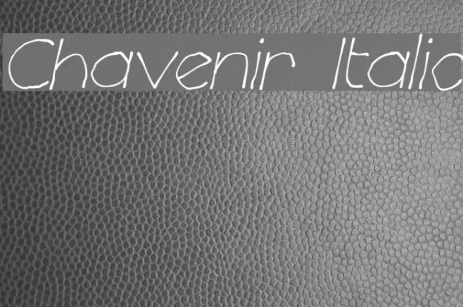 Chavenir Italic Font examples