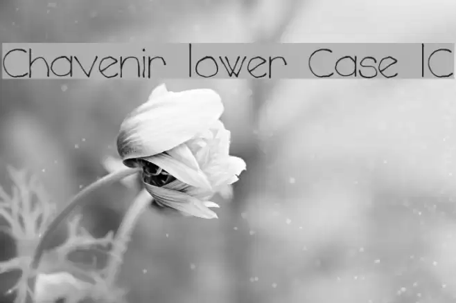 Chavenir Lower Case LC Font examples