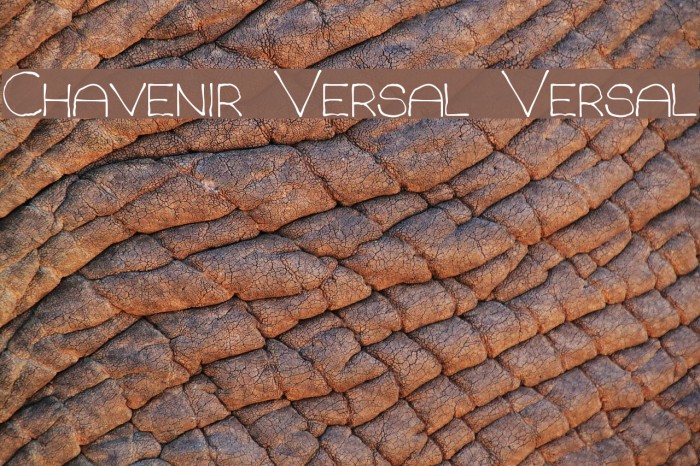 Chavenir Versal Versal Font examples